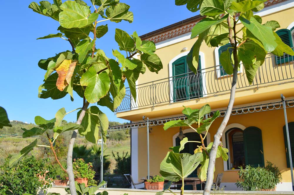 <Casa Celeste, Ferienwohnung in der Tenuta Mezzorecchio