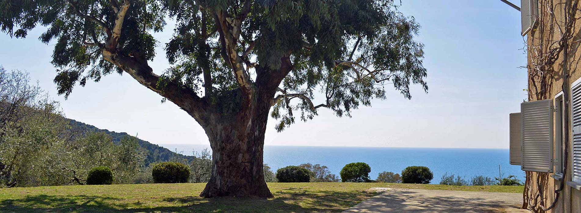 Villa Tresino, Ferienhaus auf dem Monte Tresino im Cilento