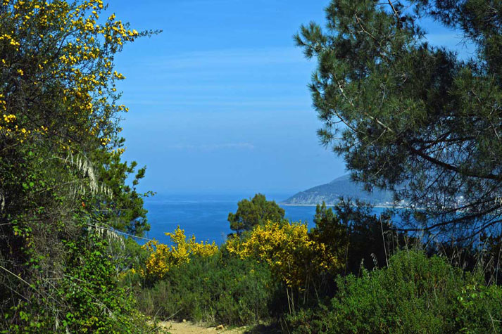 Wanderung auf dem Monte Licosa mit Blick aufs Meer