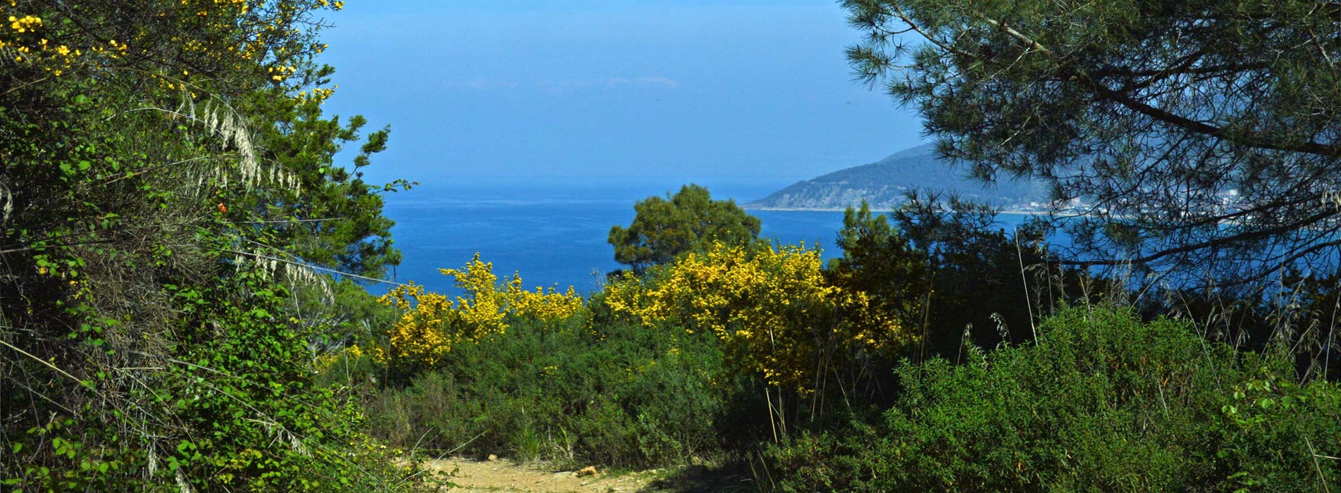 Wanderung auf dem Monte Licosa mit Blick aufs Meer