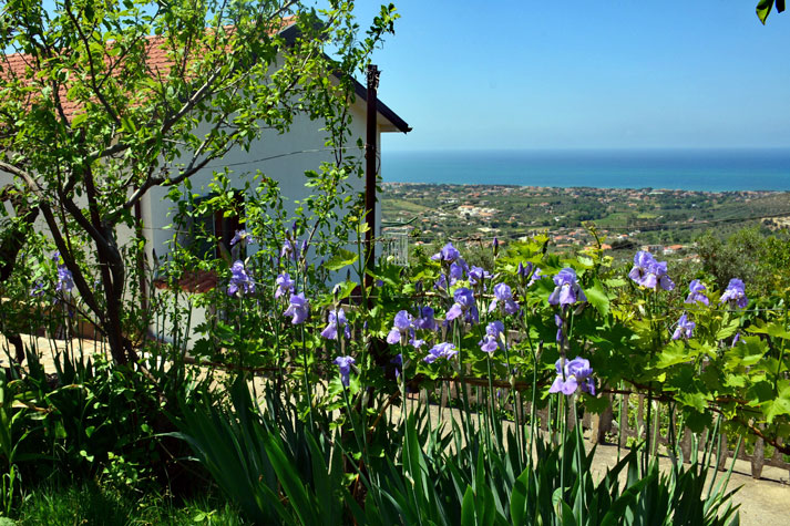 Ausblick aufs Meer vom Ferienhaus La Casetta