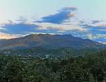 Blick auf die grünen Hügel des Cilento Blick auf die grünen Hügel des Cilento