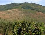 Blick auf den Monte Stella (1.131 m), bei einer Wanderung von Pioppi nach Acciaroli