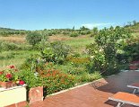 Die seitliche Terrasse zum Garten und dem Olivenhain