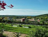 Der Ausblick von der Terrasse aufs Meer