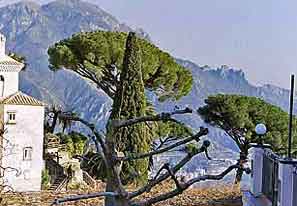 Einer von zahlreichen Gärten in Ravello