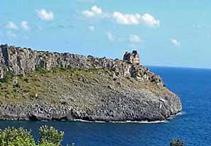 Grün bewachsene Felsküste und tiefblaues Meer