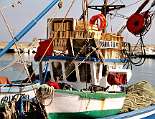 Eins von vielen Fischerbooten Eins von vielen Fischerbooten im Hafen