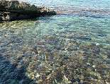 Kristallklares Wasser Kristallklares Wasser, nicht nur Fische fühlen sich hier wohl