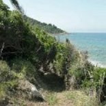 Die letzten Schritte bis zum Meer Die letzten Schritte bis zum Meer