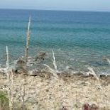 Glasklares blaues Meer in der Bucht der Villa Tresino Glasklares blaues Meer in der Bucht der Villa Tresino