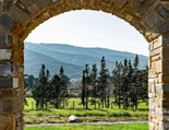 Blick von einer Terrasse in die Natur