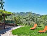 Viel Platz und Sonne im großen Garten Viel Platz und Sonne im großen Garten