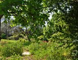 Großer Garten mit Wildblumen vor dem Haus