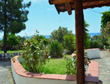 Die überdachte Terrasse, Caretta II Die überdachte Terrasse, Caretta II