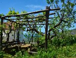 Grüne Oase im Kräutergarten hinterm Haus