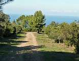 Höhenwanderung auf dem Monte Licosa mit Blick aufs Meer