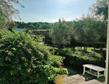 Blick in den Garten von der hinteren Terrasse