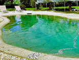 Der kleine Pool im Garten