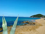 Der lange Sandstrand endet an den Felsen der Punta Tresino