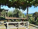 Holzpergola mit Zugang zum Garten Holzpergola mit Zugang zum Garten