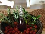 Willkommensgruß in der Villa Jole Willkommensgruß in der Villa Jole