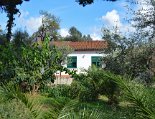 Blick vom Garten auf das Ferienhaus Blick vom Garten auf das Ferienhaus